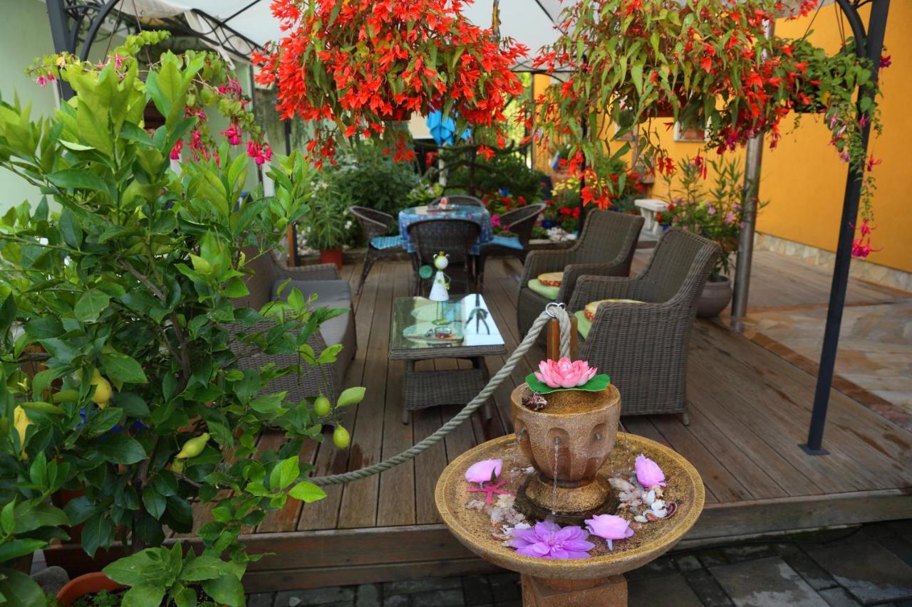 Hostel Sonce Птуй Екстериор снимка