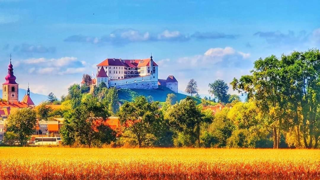 Hostel Sonce Птуй Екстериор снимка