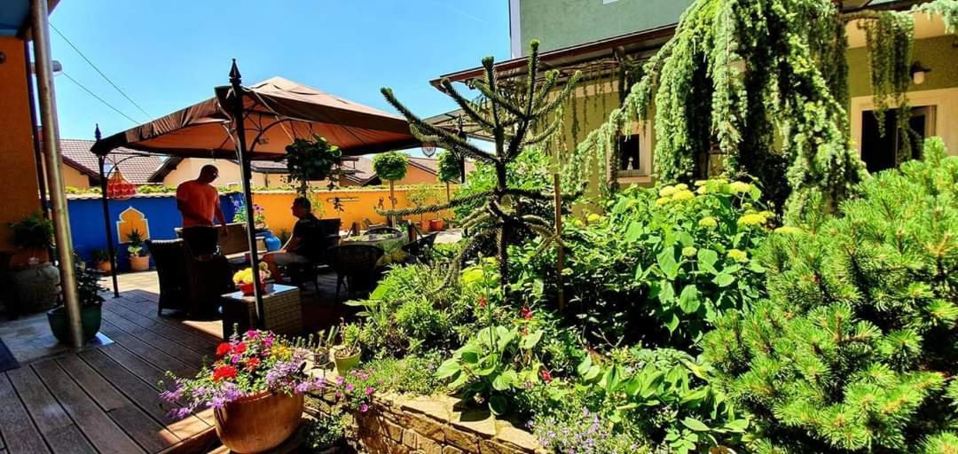 Hostel Sonce Птуй Екстериор снимка