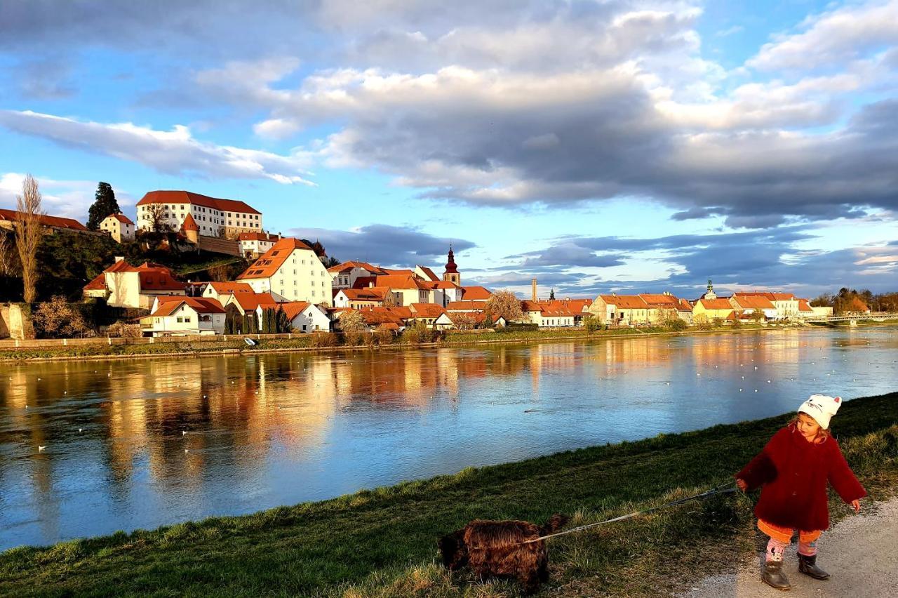 Hostel Sonce Птуй Екстериор снимка